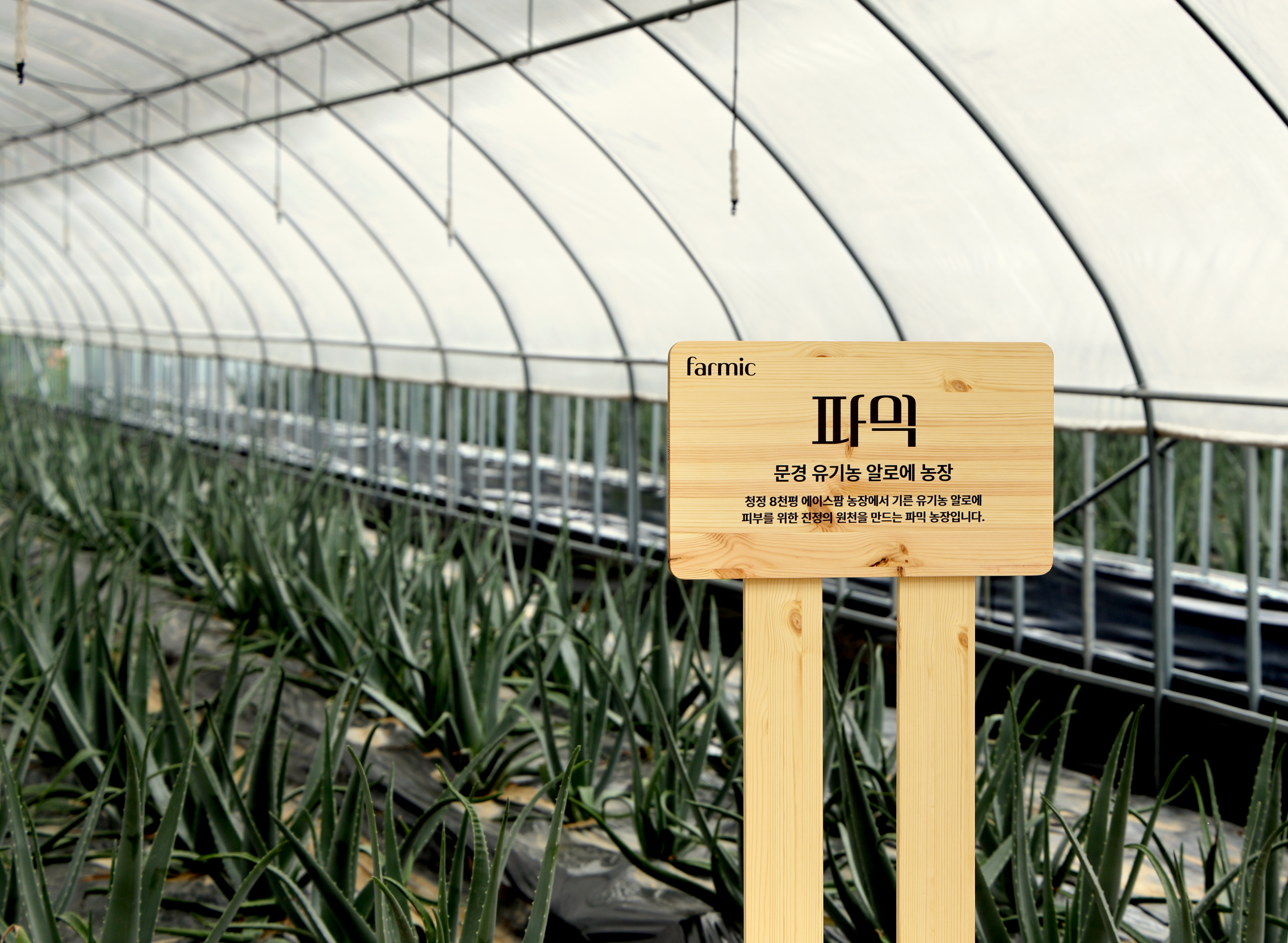 Farm-to-Face Skincare: Why Source and Simplicity Matter